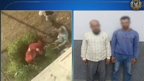 بعد تداول فيديو الحادثة.. القبض على المعتدين على سيدة في الدقهلية.