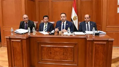 شباب النواب يوافقون على ميزانية استاد القاهرة ورئيس اللجنة: إنه مشروع وطني يتمتع بموارد استثنائية شباب النواب يوافقون على ميزانية استاد القاهرة ورئيس اللجنة: إنه مشروع وطني يتمتع بموارد استثنائية