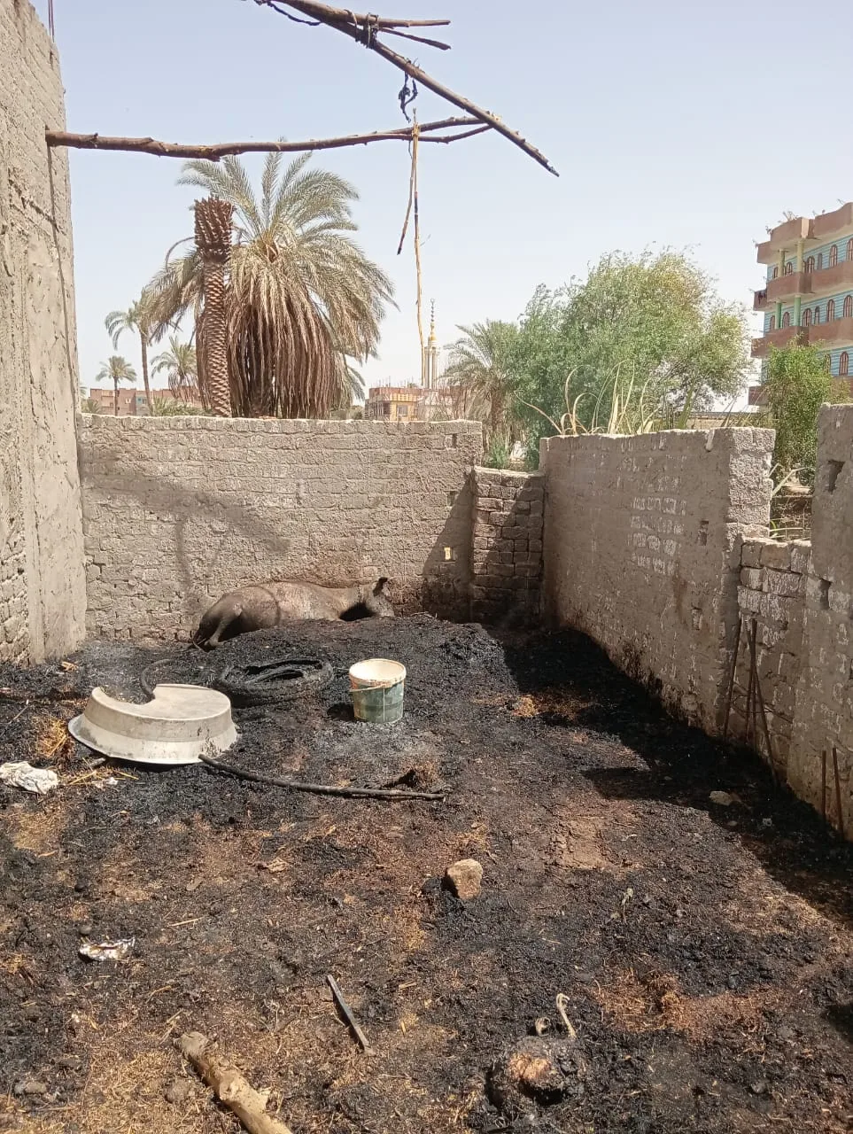 استخدام سيارة إطفاء للسيطرة على حريق اندلع في ثلاثة منازل بسوهاج