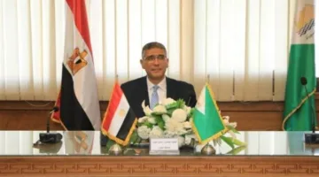 محافظة الجيزة: إغلاق مركز تعليمي في حدائق الأهرام وإزالة 500 حالة إشغال لمتاجر.