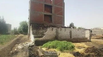 صور: زيارة النيابة العامة والطب البيطري والوحدة المحلية في المحمودية لتقييم أضرار حريق بمزرعة ماشية