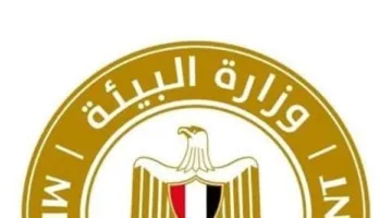 “البيئة” تحقق في شكاوى سكان زهراء المعادي حول الحرائق وتحدد مصدر التلوث