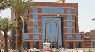 فرص عمل متاحة في جامعة طيبة