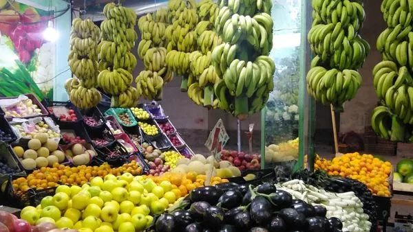 أسعار الفواكه والخضروات في مطروح ليوم الأربعاء 14 مايو 2025 أسعار الفواكه والخضروات في مطروح ليوم الأربعاء 14 مايو 2025
