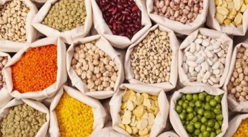 أسعار الحبوب والعدس في منطقة البحر الأحمر اليوم السبت 17 مايو 2025