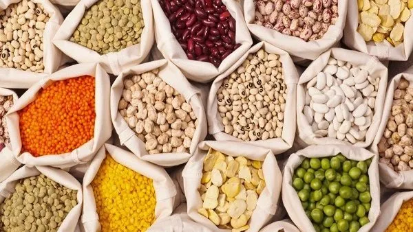 أسعار الحبوب والعدس في منطقة البحر الأحمر اليوم السبت 17 مايو 2025 أسعار الحبوب والعدس في منطقة البحر الأحمر اليوم السبت 17 مايو 2025