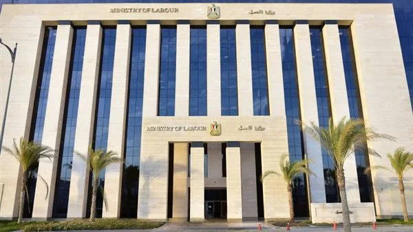 وظائف شاغرة للمصريين في السعودية براتب شهري 13 ألف ريال.. رابط التقديم متاح وظائف شاغرة للمصريين في السعودية براتب شهري 13 ألف ريال.. رابط التقديم متاح