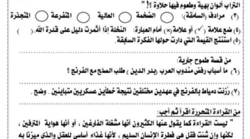 اختبار اللغة العربية: لا تفوت الفرصة لطلاب الصف الثالث الإعدادي