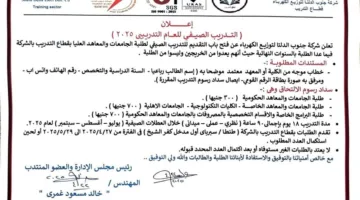 جنوب الدلتا للكهرباء تعلن عن بدء استقبال طلبات التدريب الصيفي للطلاب في الجامعات والمعاهد لعام 2025