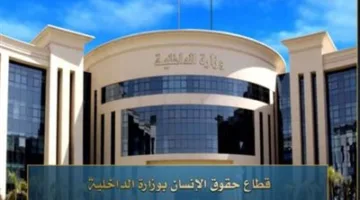 الداخلية تصدر 8 آلاف بطاقة هوية وطنية للمصريين في السعودية والكويت