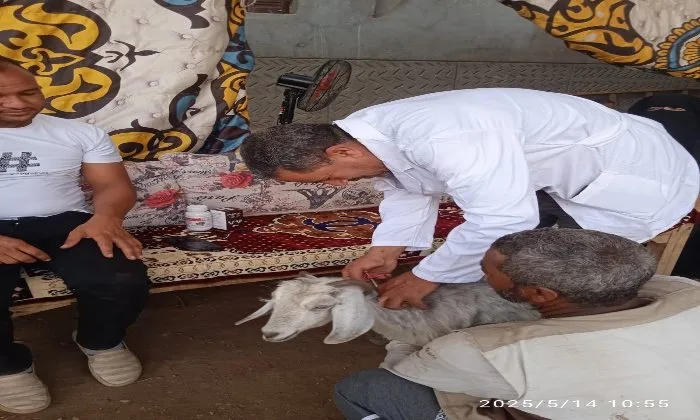 مستقبل وطن يقيم قافلة بيطرية في مركز الوقف لدعم المزارعين ومربي الحيوانات مستقبل وطن يقيم قافلة بيطرية في مركز الوقف لدعم المزارعين ومربي الحيوانات