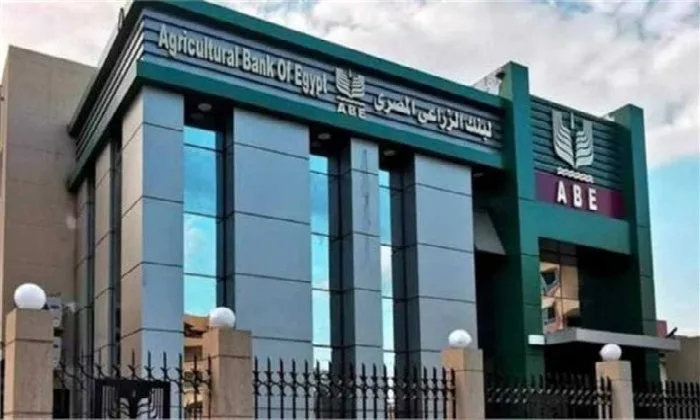 الجمعية العمومية للبنك الزراعي المصري تقر تعيين أبو السعود كمدير تنفيذي وتنتخب عبد الصادق وغادة مصطفى نوابًا له.