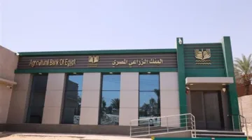 رسميًا.. تعيين محمد أبو السعود رئيسًا للمجلس التنفيذي للبنك الزراعي الجديد