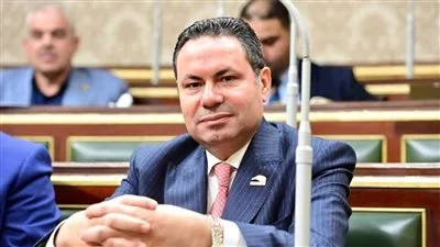 النائب هشام الحصري يدافع عن المزارع داخل البرلمان.. مواجهة قوية مع وزارة قطاع الأعمال حول أزمة القطن