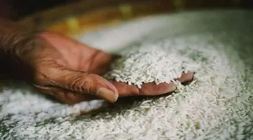 أسعار الأرز والدقيق في محافظة الغربية بتاريخ الأربعاء 14 مايو 2025