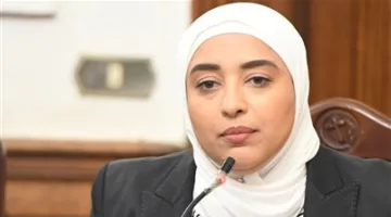 النائبة أميرة أبوشقة: مشروع قانون الحكومة بشأن الإيجارات القديمة يحتوي على نقاط ضعف قانونية بارزة.