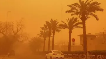 العواصف الرملية: تهديدات سامة تحاصر طرقنا بلا سابق إنذار (تقرير)