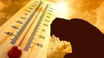 الأرصاد تعلن موعد انتهاء الموجة الحارة وتُنبه لزيادة نشاط الرياح ووجود الأتربة