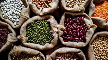 أسعار الحبوب في محافظة الغربية اليوم الإثنين 19 مايو 2025
