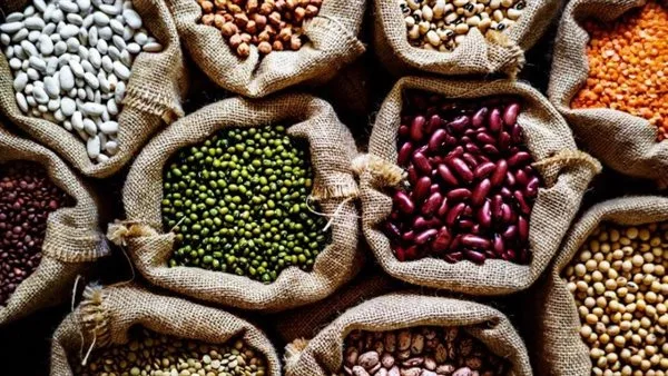 أسعار الحبوب في محافظة الغربية اليوم الإثنين 19 مايو 2025 أسعار الحبوب في محافظة الغربية اليوم الإثنين 19 مايو 2025