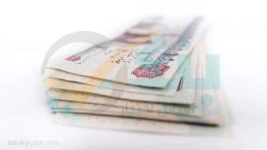 بنك أبوظبي الأول في مصر يسجل 3.9 مليار جنيه صافي أرباح في الربع الأول من عام 2025 بنك أبوظبي الأول في مصر يسجل 3.9 مليار جنيه صافي أرباح في الربع الأول من عام 2025