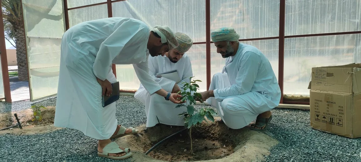 “حبات الذهب”: مشروع مبتكر في التعليم والتطوير يحقق المركز الأول في مسابقة العمل التطوعي “حبات الذهب”: مشروع مبتكر في التعليم والتطوير يحقق المركز الأول في مسابقة العمل التطوعي