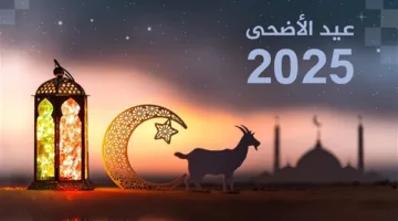 تاريخ إجازة عيد الأضحى 2025 في مصر: أطول فترة عطلة رسمية للموظفين والطلاب