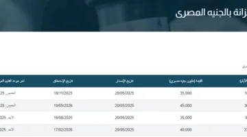 بمبلغ 80 مليار جنيه.. المركزي يعرض أذون خزانة لتأمين السيولة غداً