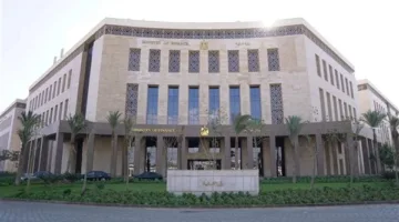 المالية تعلن تخصيص 160 مليار جنيه لدعم السلع التموينية في موازنة 2025-2026 بزيادة 19%