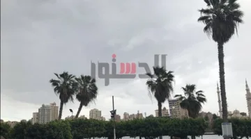 احتمال هطول أمطار خفيفة.. درجات الحرارة ليوم الأربعاء 14 مايو 2025