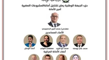 “الجبهة الوطنية” تُعلن عن إنشاء أمانة للمشروعات الصغيرة برئاسة الدخميسي
