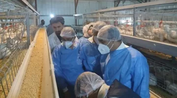 بالتفاصيل.. نائب محافظ المنيا يزور مشروع الدواجن الذي تديره الشركة المصرية الفرنسية