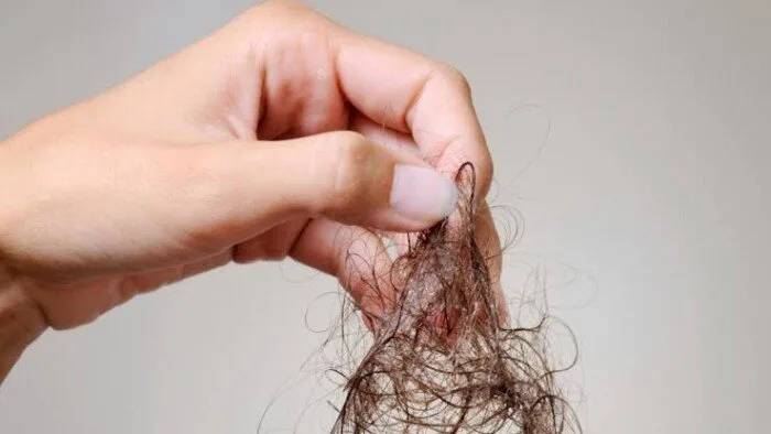 مواد طبيعية لتعزيز صحة الشعر وحمايته من التقصف والتكسر مواد طبيعية لتعزيز صحة الشعر وحمايته من التقصف والتكسر