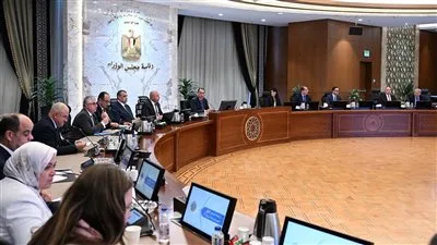 رئيس الوزراء: جهود موسعة في المنطقة الاقتصادية لقناة السويس لتعزيز التوطين الصناعي رئيس الوزراء: جهود موسعة في المنطقة الاقتصادية لقناة السويس لتعزيز التوطين الصناعي