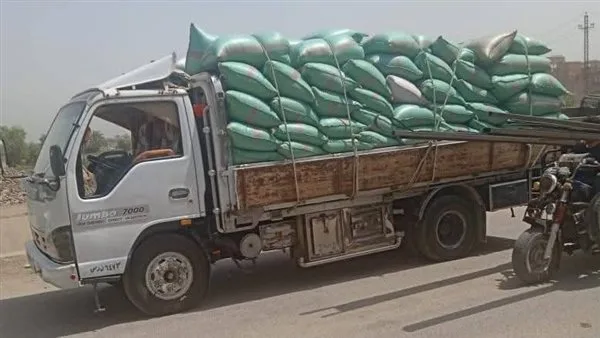 محافظ المنيا: صوامع وشون المحافظة تستقبل 299 ألف طن من القمح