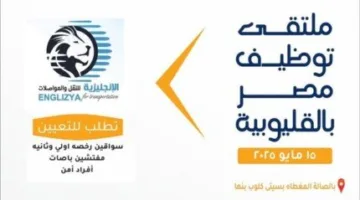 فرص عمل متعددة في مهرجان توظيف القليوبية 2025