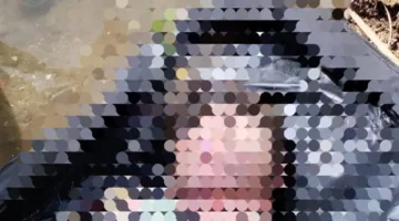 انتشال جثمان امرأة unidentified من البحر اليوسفي في المنيا.. والسلطات تعزز جهودها لتحديد هويتها