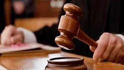 إحالة ملف شقيقين إلى المفتي لقتلهما سائق توك توك نتيجة اتهام غير صحيح بوجود علاقة مع زوجة أحدهما.