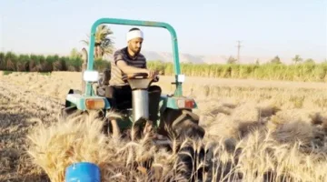 المحامي أبو الفتوح: قائد “الهلوبة” في موسم حصاد القمح