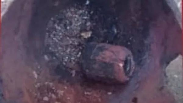 جسم غير متفجر من بقايا الحرب يتسبب في مقتل وإصابة 6 أفراد في شربين