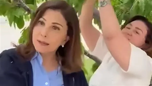 إلهام شاهين تروي مغامراتها في لبنان: سرقة الكرز وماجدة الرومي تستمتع به