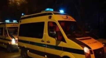 مقتل شخصين جراء تصادم على الطريق الزراعي في القليوبية