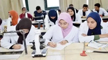 إرشادات لتحقيق النجاح في امتحانات البورد المصري: كيف تتجاوز الاختبارات بفاعلية؟