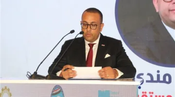 قيادي في “مستقبل وطن”: مزايا ضريبية جديدة تسهم في دعم الممولين