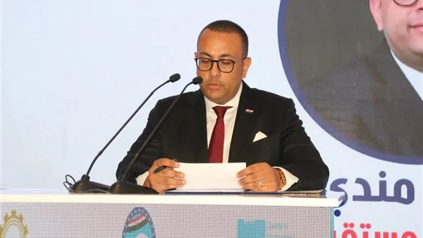 قيادي في “مستقبل وطن”: مزايا ضريبية جديدة تسهم في دعم الممولين قيادي في “مستقبل وطن”: مزايا ضريبية جديدة تسهم في دعم الممولين