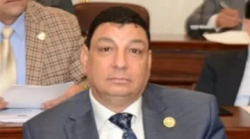 صناعة النواب: إطلاق مصنع صيني في المنطقة الاقتصادية يعزز الإنتاج المحلي