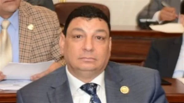 صناعة النواب: إطلاق مصنع صيني في المنطقة الاقتصادية يعزز الإنتاج المحلي صناعة النواب: إطلاق مصنع صيني في المنطقة الاقتصادية يعزز الإنتاج المحلي