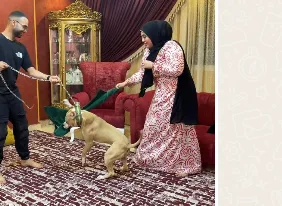 اعتداء على المدون أو استجابة بعد بث فيديو يتعلق بتعذيب كلب اعتداء على المدون أو استجابة بعد بث فيديو يتعلق بتعذيب كلب