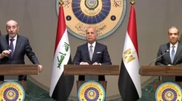 وزير الخارجية: الرئيس السيسي يتبنى جهودًا دبلوماسية لوقف الهجمات على غزة وتيسير الوصول للمساعدات.