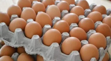 تأويل رؤية البيض: ما بين وفرة الرزق والمخاوف النفسية